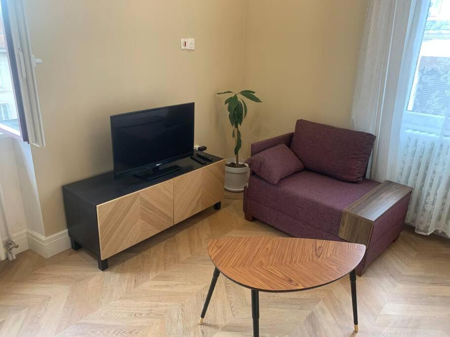 Appartement Centre Ville Historique - Le Modene Vienne  Extérieur photo